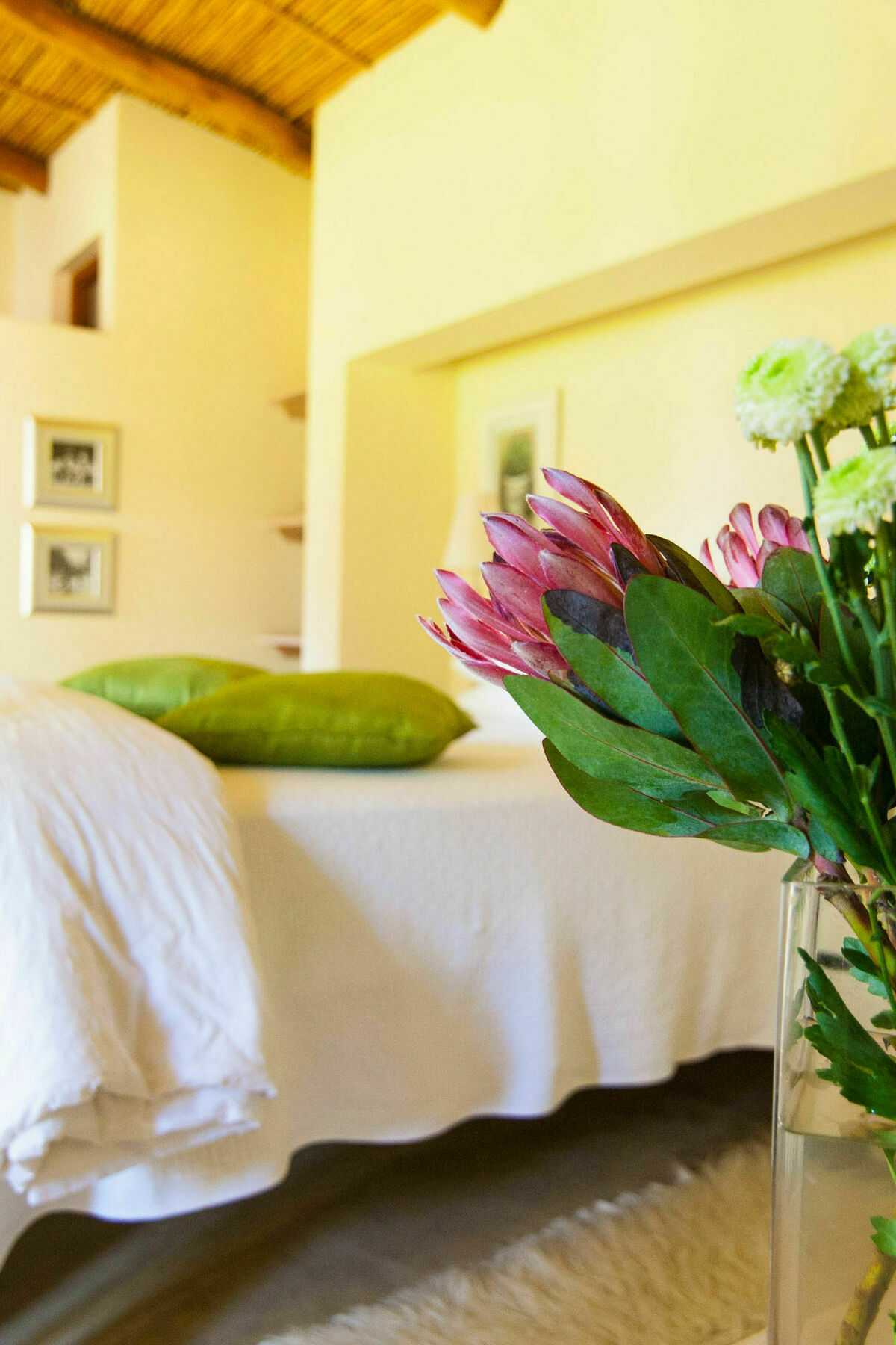 سويلندام Babette Bed And Breakfast المظهر الخارجي الصورة